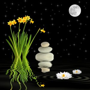 Cos'è l'equinozio di primavera e quando avviene